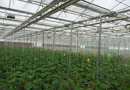 ���ܜ��Ҵ���